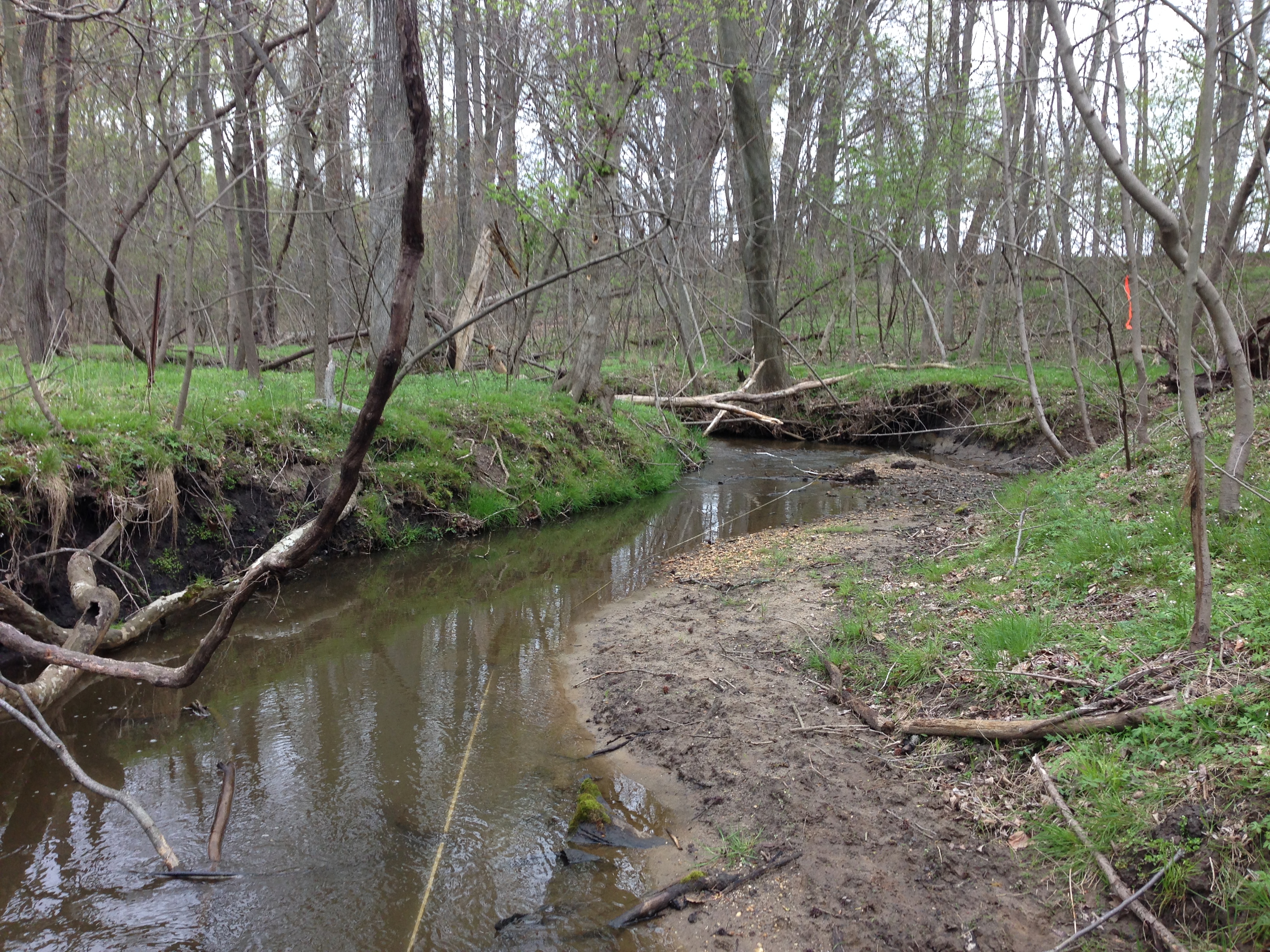 Field photo showing stream conditions at site LOCR-114-R-2016_midpoint looking upstream